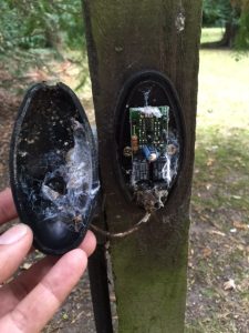 Photocell contamination